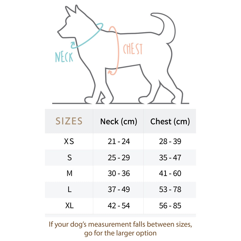 PACK PASEO MASCOTA. ARNÉS, COLLAR, CORREA Y DISPENSADOR DE BOLSAS