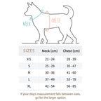 PACK PASEO MASCOTA. ARNÉS, COLLAR, CORREA Y DISPENSADOR DE BOLSAS