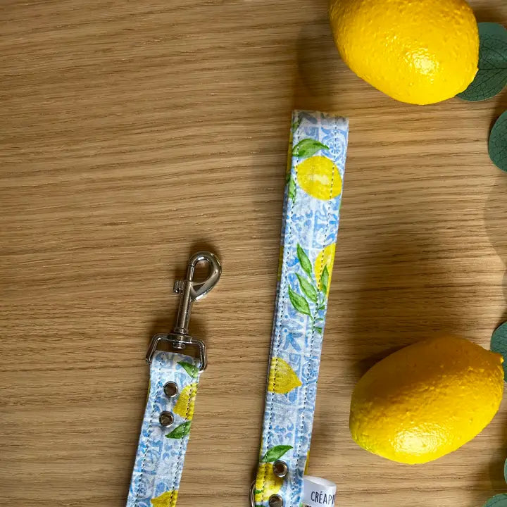 CORREA DE PASEO LIMONES