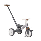 TRICICLO EVOLUTIVO FOX